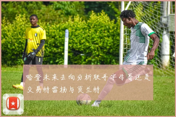 哈登未来去向分析联手字母哥还是交易特雷杨与莫兰特