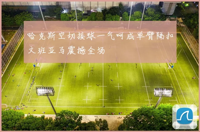 哈克斯空切接球一气呵成单臂隔扣文班亚马震撼全场