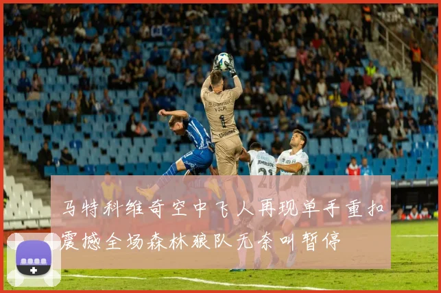 马特科维奇空中飞人再现单手重扣震撼全场森林狼队无奈叫暂停